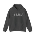 I AM DUST Hoodie — Black/Charcoal